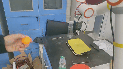 Failure: Inference output oscillation